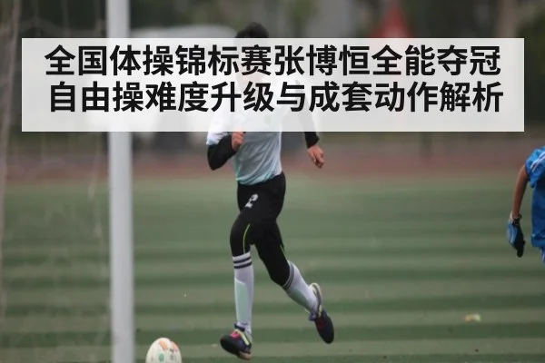 全国体操锦标赛张博恒全能夺冠 自由操难度升级与成套动作解析