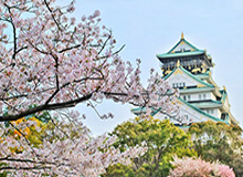开云体育下载公司-【早报】“剁手节”手抢戏
